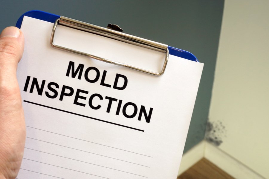a clipboard holding a document that reads 'mold inspection' 