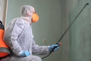 Mold Removal Company Knoxville TN
